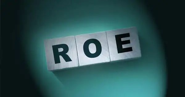 Retorno sobre o patrimônio líquido (ROE): O que é, como funciona e como calcular
